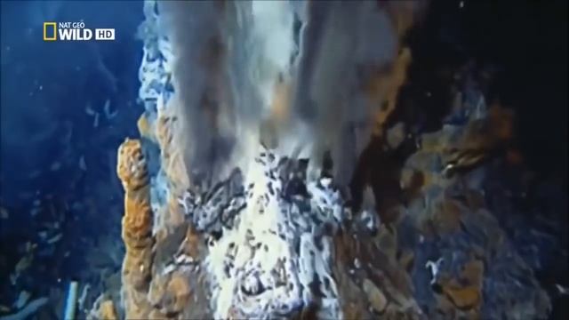 Nat Geo Wild. Морская бездна. Последний рубеж.
