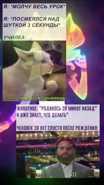 Мем #мемы #мем #кот #тикток #аниме #shorts #смех #юмор #угар #лол #жиза #ржака