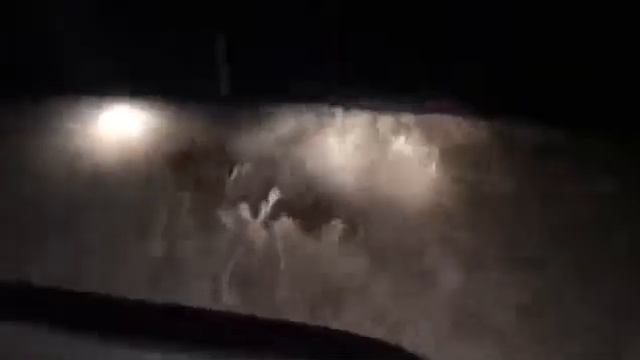 Мой пьяный дядька на охоте за рулем!