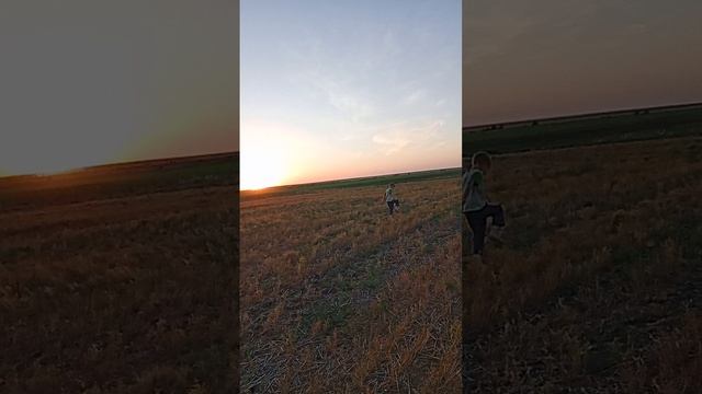 VID_20240702_202334_SLO-MO