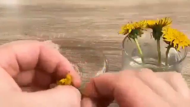 Чай из одуванчика