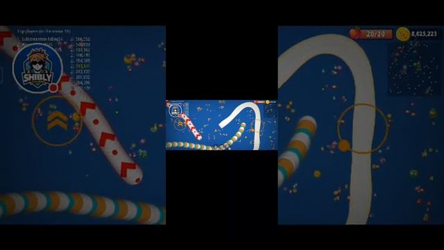 🔴Worms Zone.io | Snake Game | Saap Wala Game | Pro Skills Gameplay @shiblygamerz