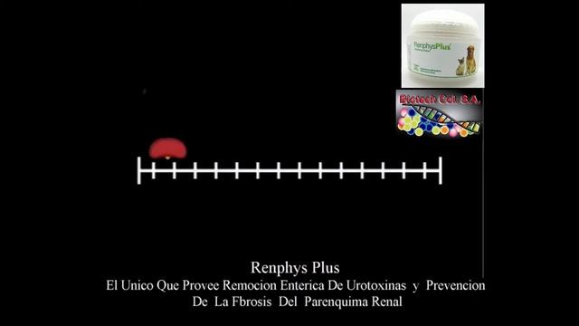 Renphys Plus y la enfermedad renal en perros y gatos