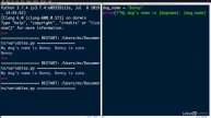python-for-students-en-part-5