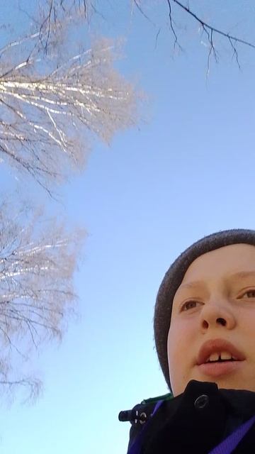 20 лайков 3 подписчика