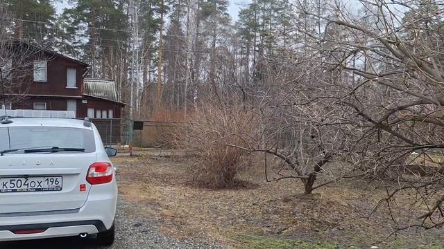 Выезд на природу на гранте.
