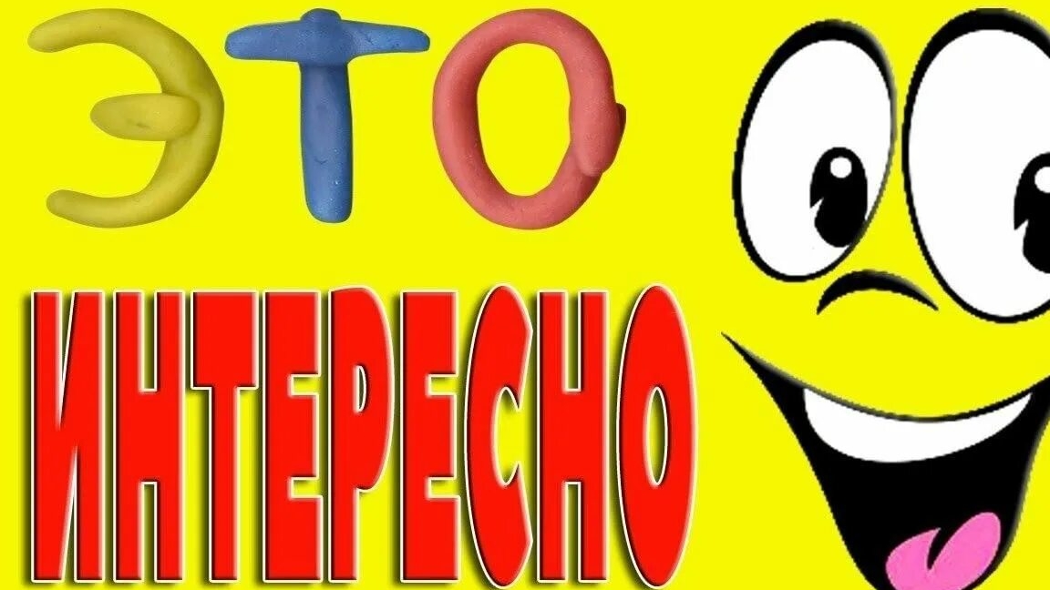 ОБЗОР! ПРИОБРЕЛИ КЛАССНУЮ ВЕЩЬ ДЛЯ ДАЧИ