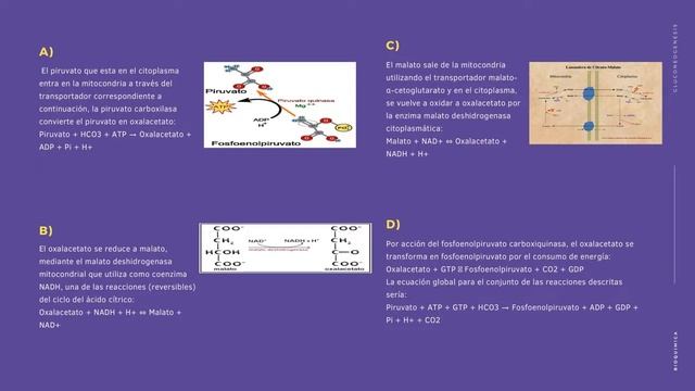 Movavi Clips Video 1