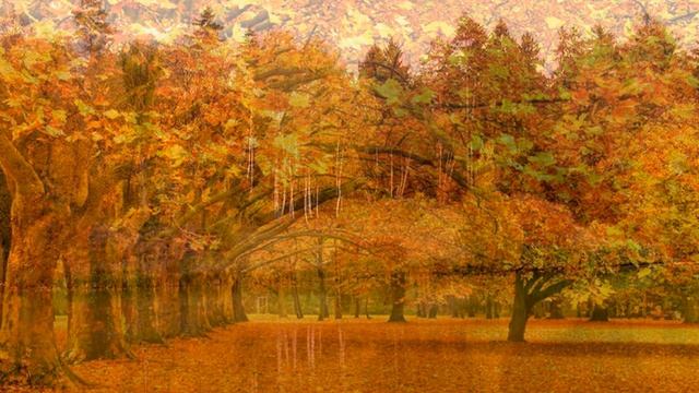 Фолалеева Инесса - Осень Красная Краса ( Сл. и муз. Сергей Рыженков )