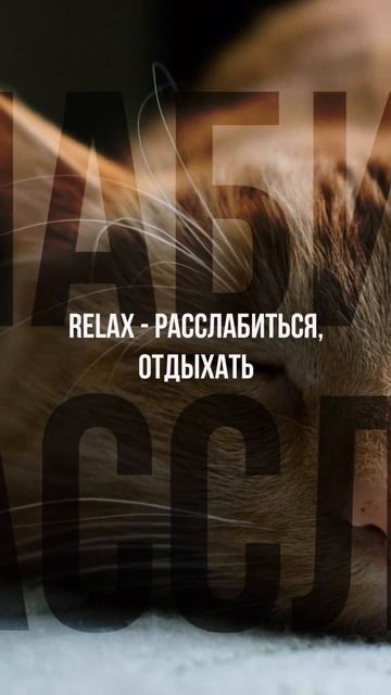 Слова на букву R