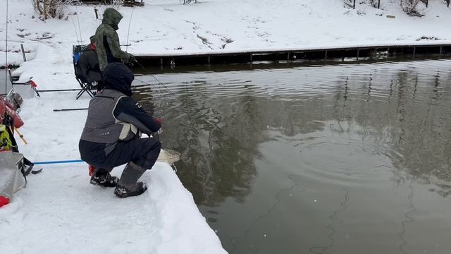 Поимка Форели.СЗ