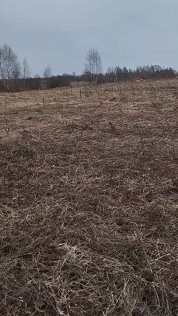 д. Вяземское 50:18:0070440921