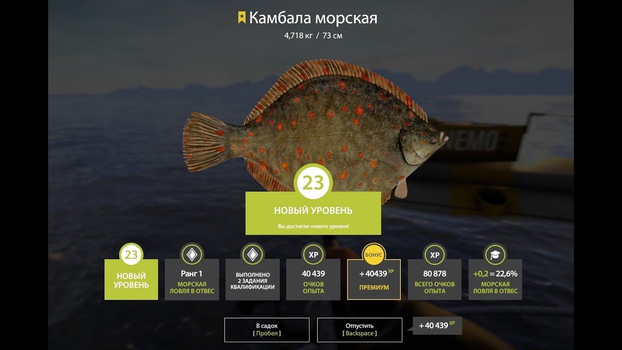 РУССКАЯ РЫБАЛКА 4 - ТРОФЕЙ КАМБАЛА МОРСКАЯ!!