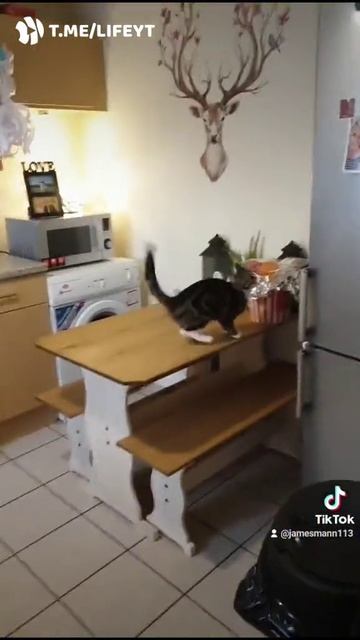 когда нечего терять