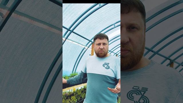 грунт для черенков