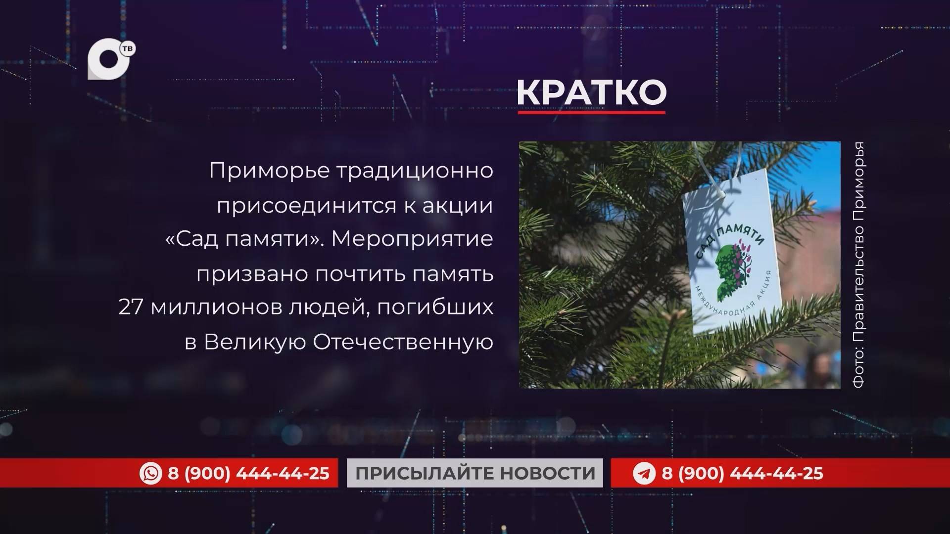 Кратко / 08.04.25 / Утро