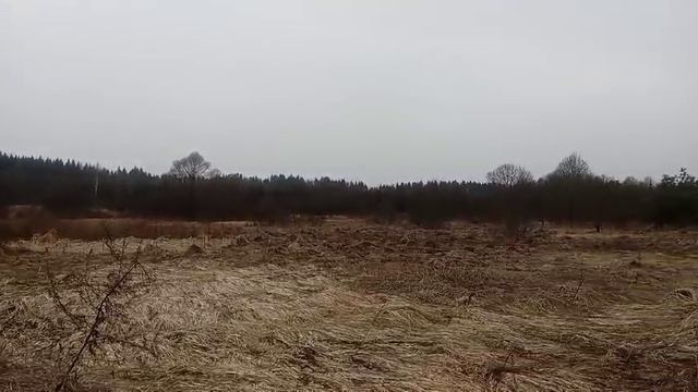 д. Желомеено 50-18-0050407-1223