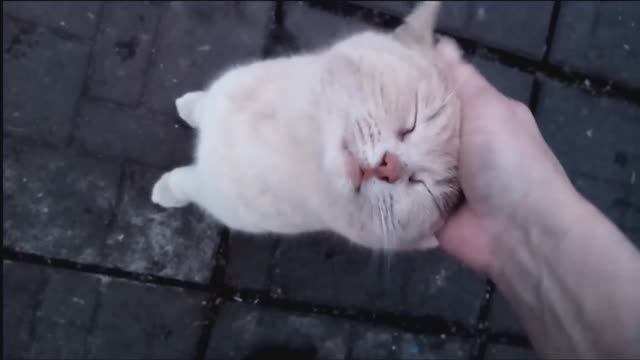 Долгожданная встреча с моими подопечными!