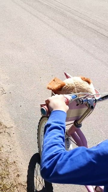 VID_20250408150736.mp4