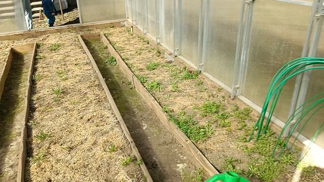 04.04.2025 приехала поработать а в итоге ни чего не сделала