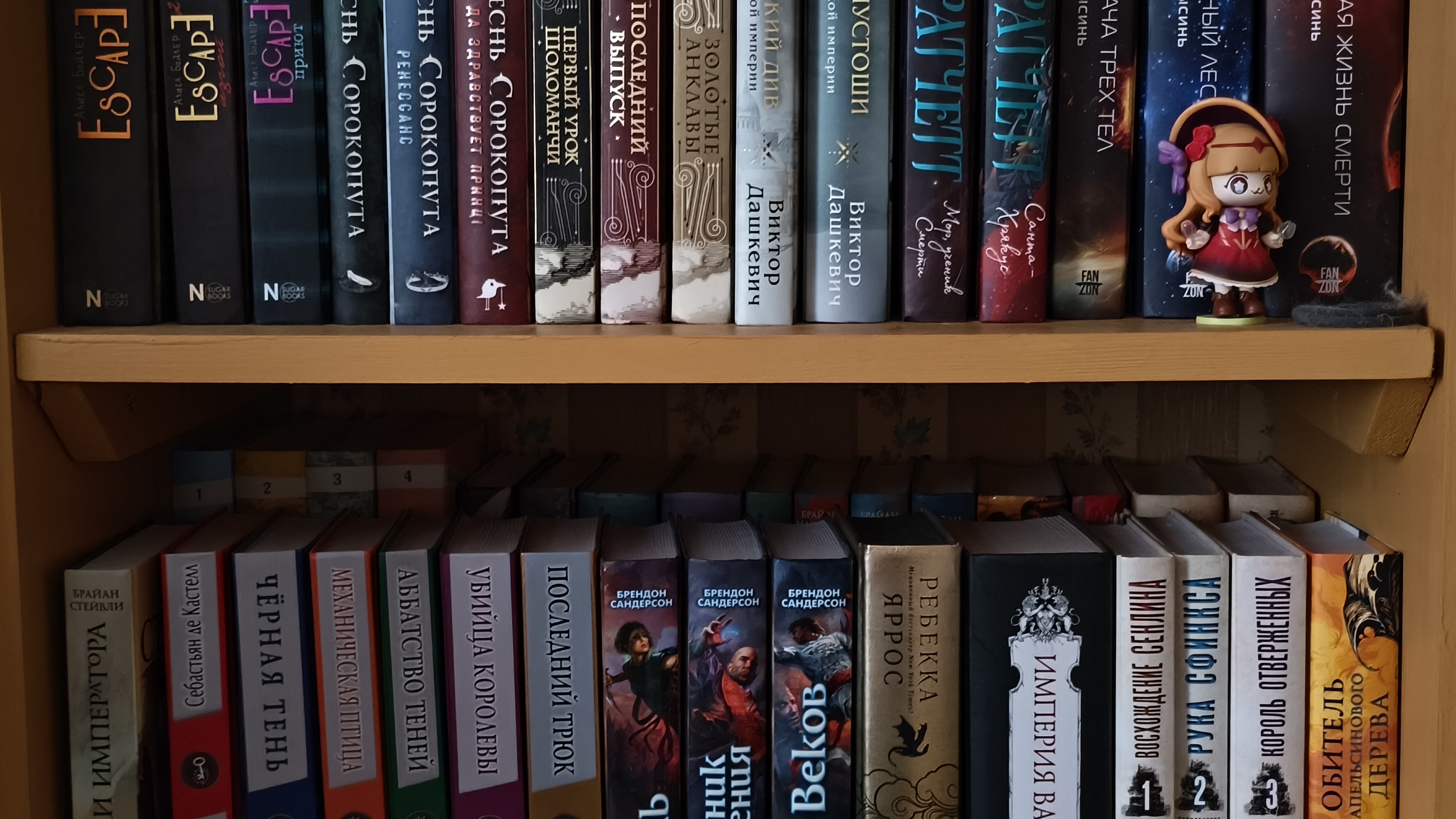 обзор на книжные полки || фентези циклы