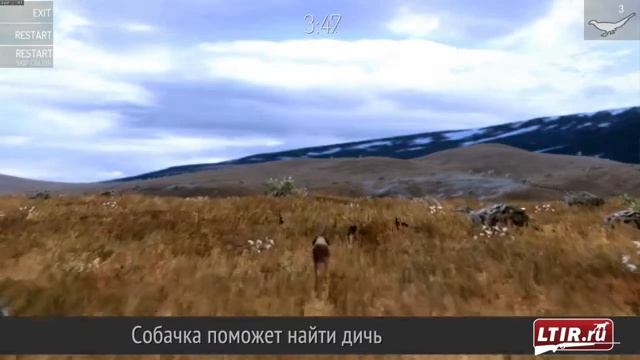 Интерактивный тир лазерные технологии