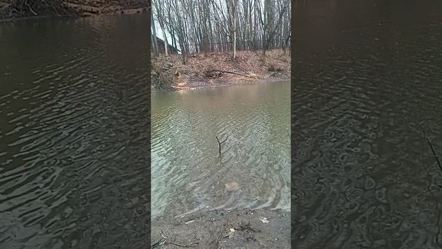 1000106838.mp4