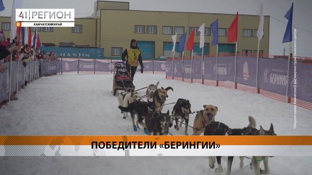 ПОБЕДИТЕЛЕЙ ТРАДИЦИОННОЙ ГОНКИ «БЕРИНГИЯ» НАГРАДИЛИ НА КАМЧАТКЕ • НОВОСТИ КАМЧАТКИ