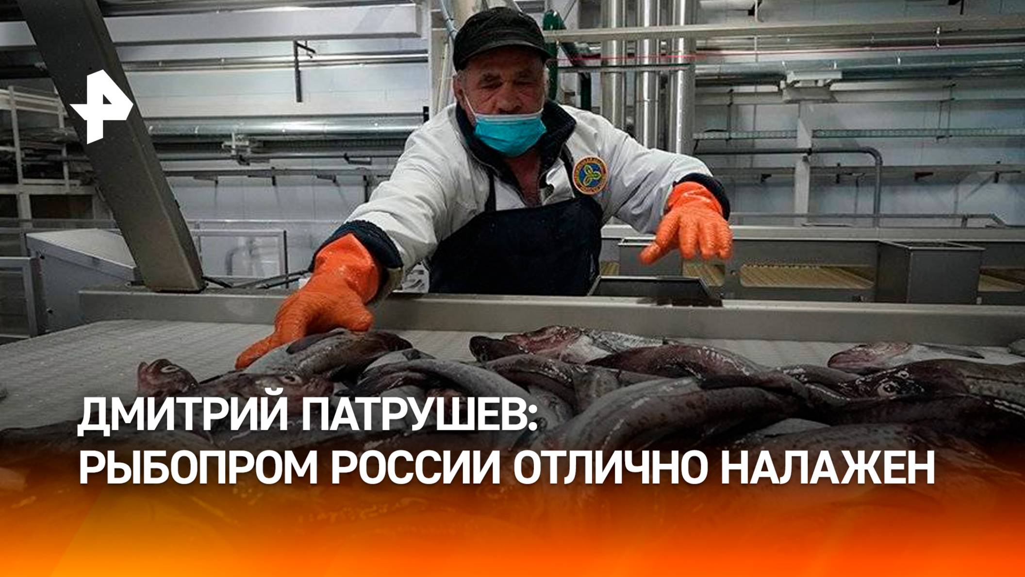 Дмитрий Патрушев: рыбное хозяйство в России отлично налажено, аквакультура получит новые проекты