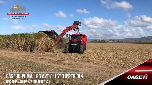 Pastega Group - Case IH Puma 195CVT and 16T Tipper Bin #2 Haulout