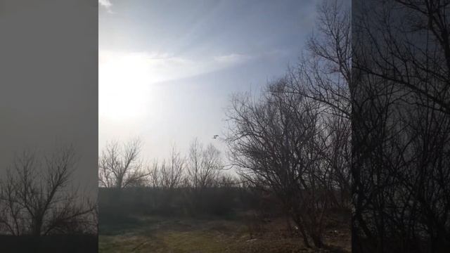 Video.Guru_20250407_082303277