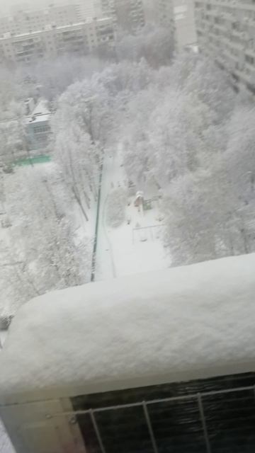 Снег!?