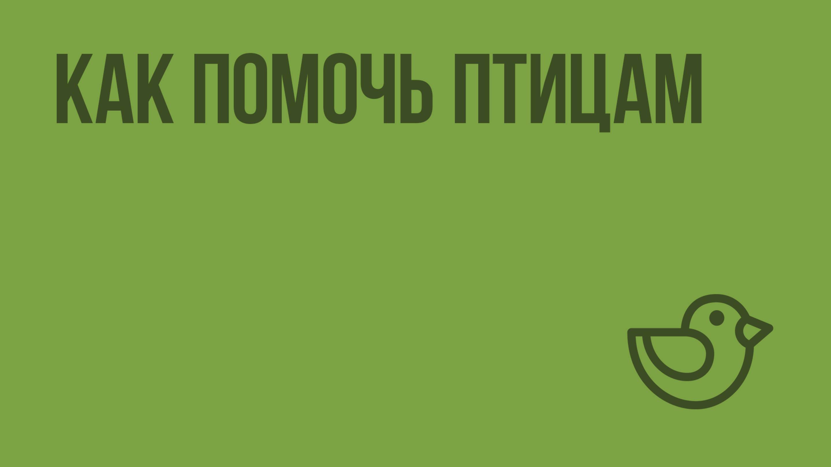 Как помочь птицам. Видеоурок по окружающему миру 1 класс