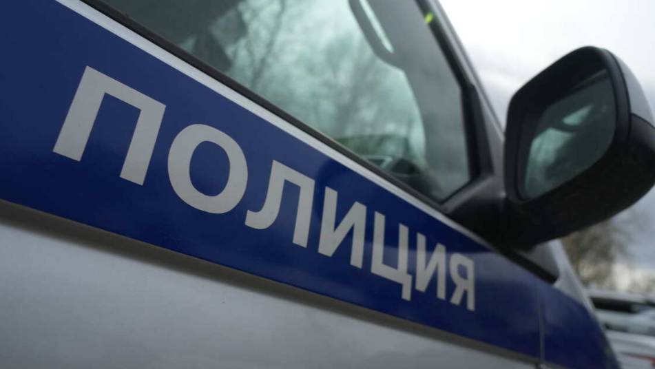 Мать оставила шестимесячную дочь в сугробе под Хабаровском