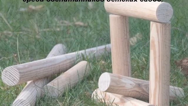Презентация дошкольной программы