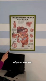 В Гастроцентре Уфимцева действуют 2 программы обследования организма для мужчин и женщин