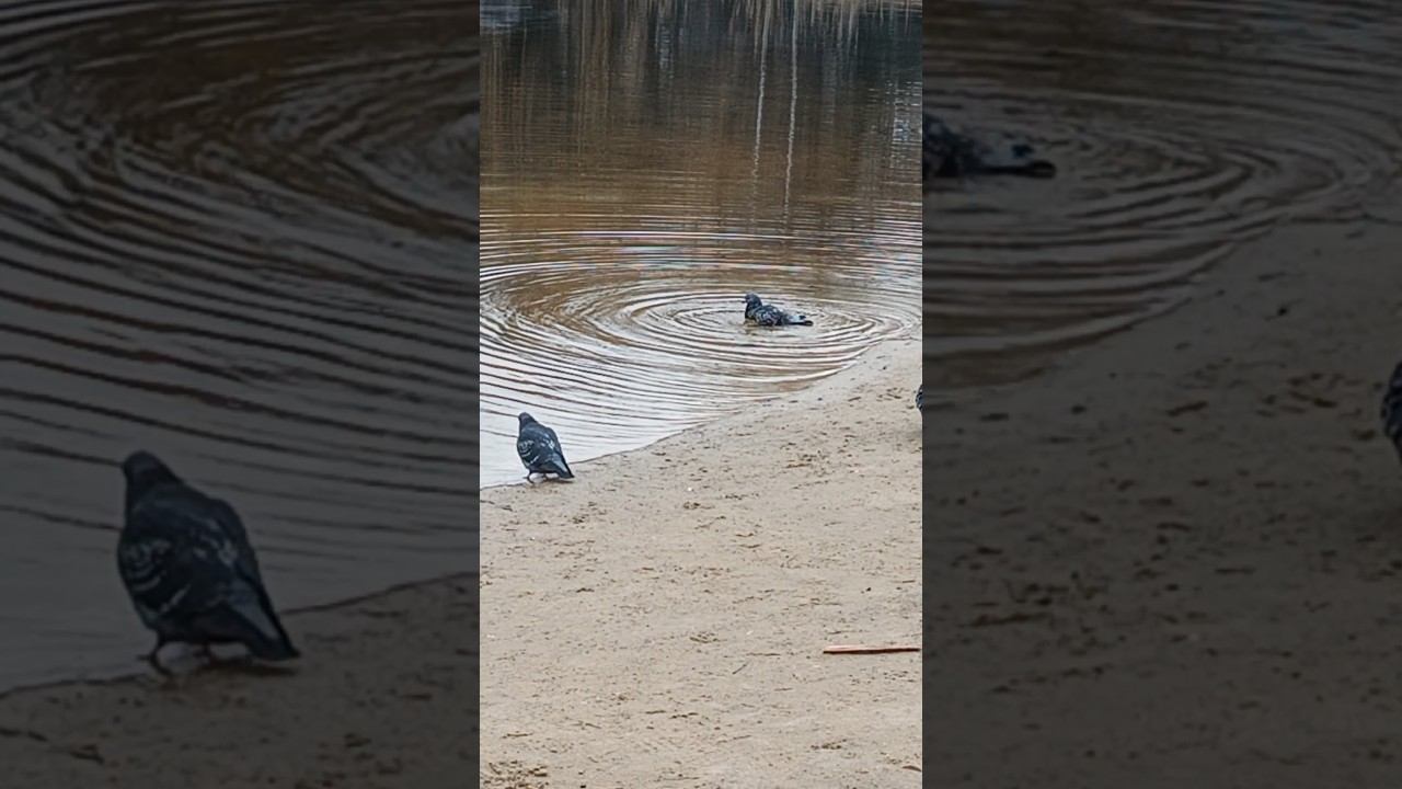 мартовские водные процедуры