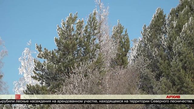 Ущерб выплачен 07.04.2025