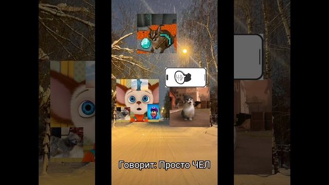 ТАЙНА АРТЁМОВИЧА ШОУ ИЛИ ЛОЖЬ 1 ЧАСТЬ