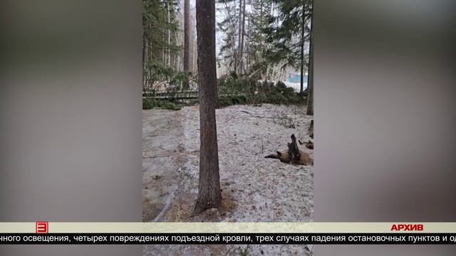 Последствия шторма 07.04.2025