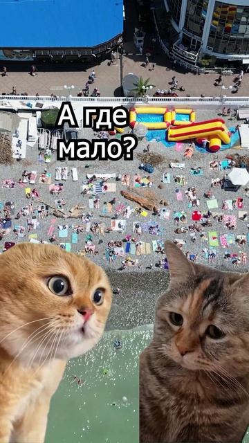 Сочи, пляж пред гостевым домом Гавана, в поселке Чемитоквадже.