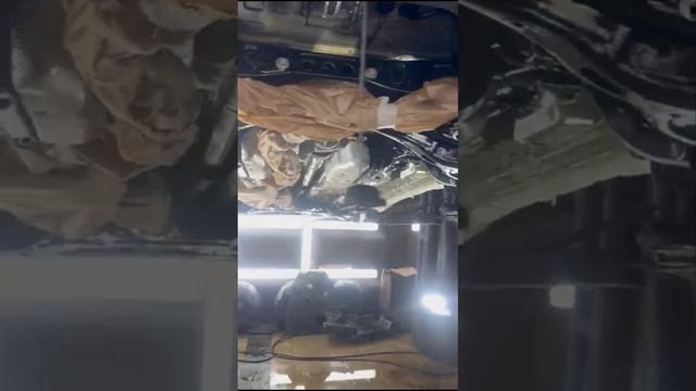 1000006245.mp4