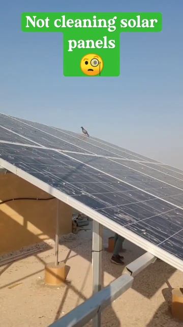 Not cleaning solar panels 🧐✅ #shorts #shortvideo #youtubeshorts