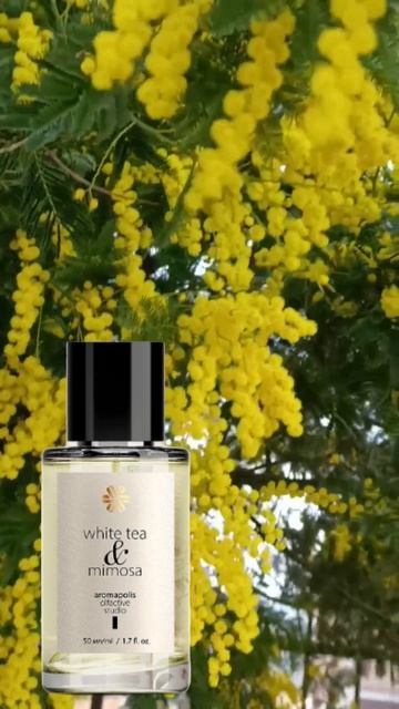 WHITE TEA & MIMOSA ( белый чай и мимоза)
