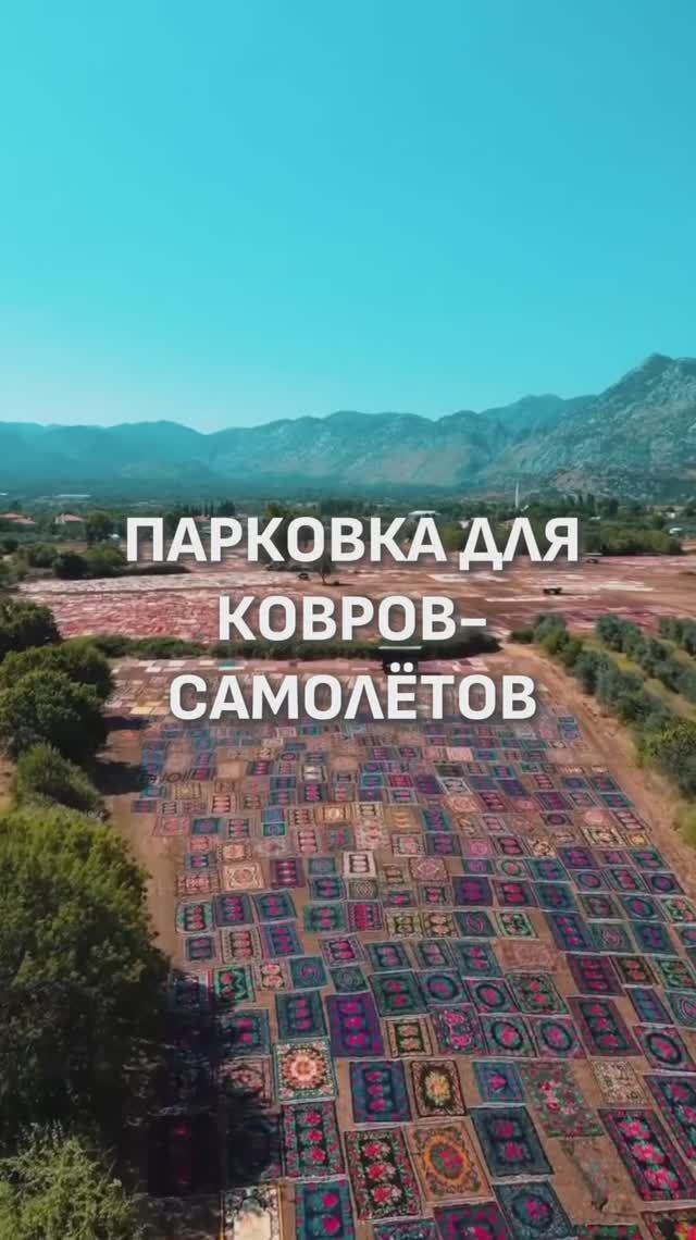 ПОЛЕ КОВРОВ!