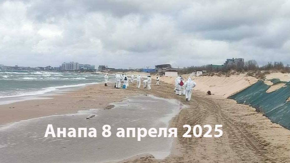 Анапа мазут 8 апреля 2025