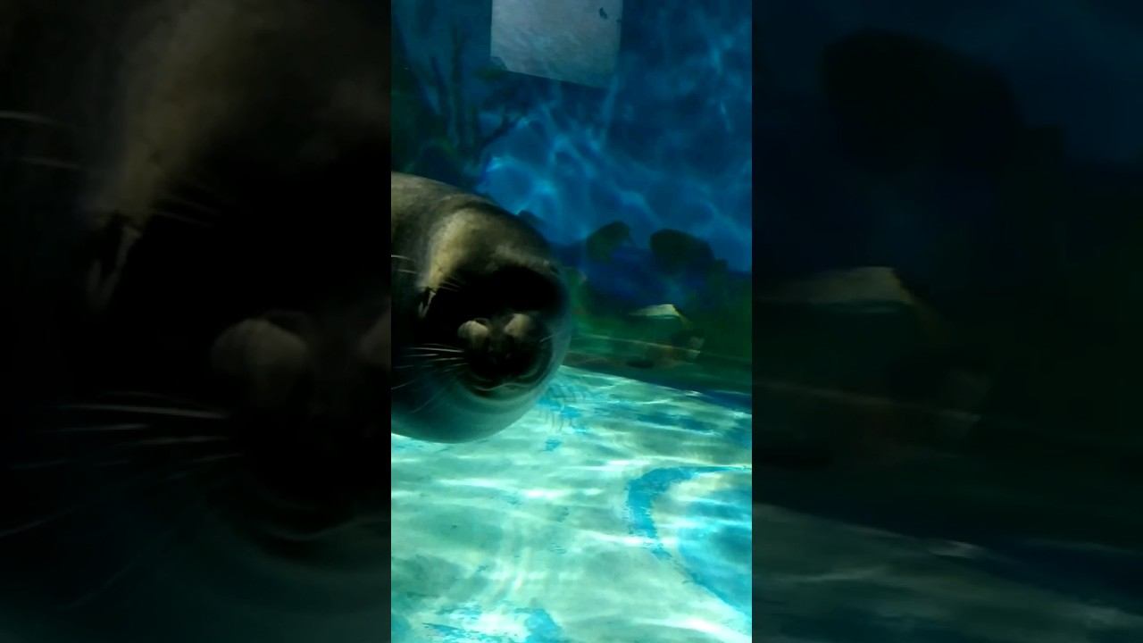 музей на Байкале