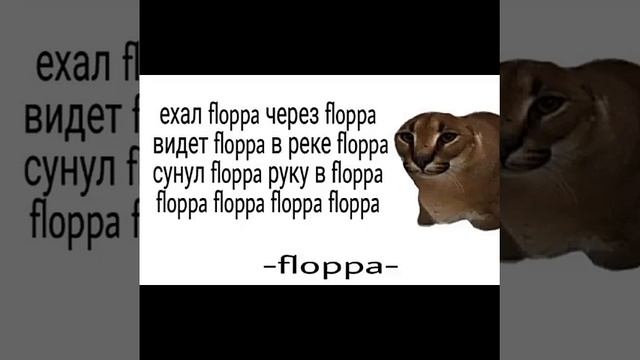это точно floppa?