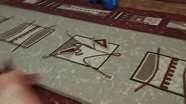 мультфильм бобёр 🦫