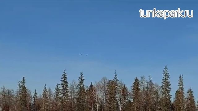 лебеди прилетели